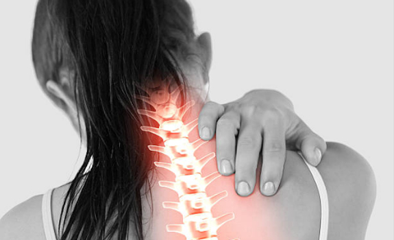Read about neck and back spine