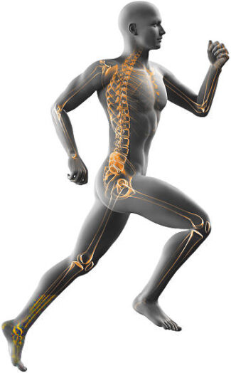 man running x-ray isolated on white