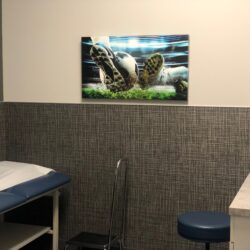 Exam Room with a Picture on the wall